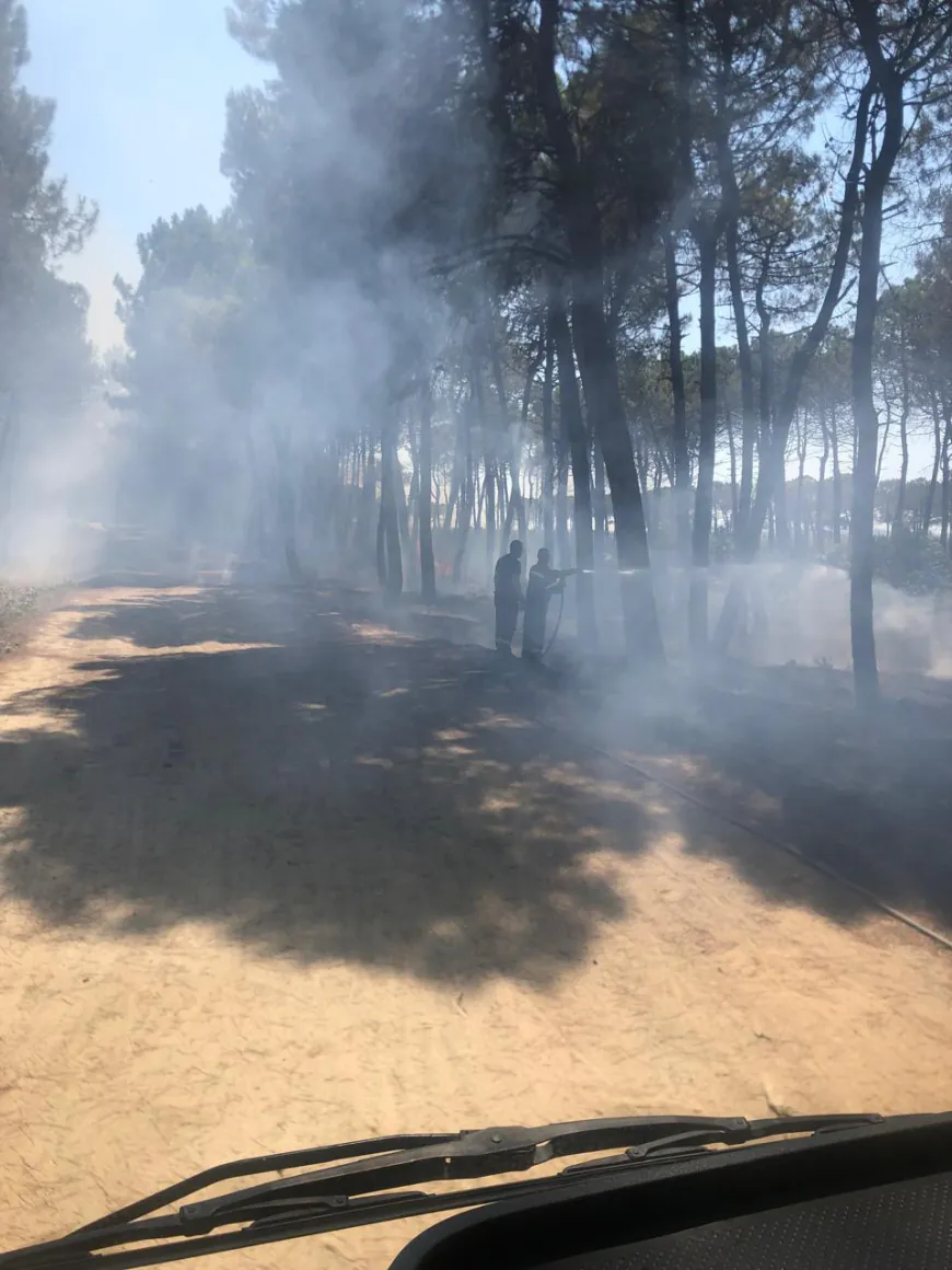 Video / Zjarri në Durrës, zjarrfikësit në aksion për shuarjen e flakëve, si paraqitet situata në terren