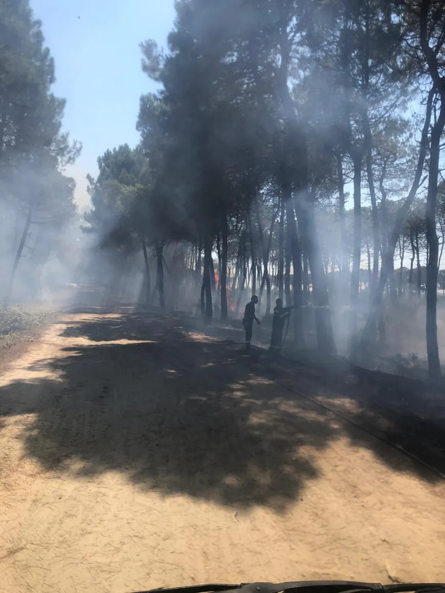 Video / Zjarri në Durrës, zjarrfikësit në aksion për shuarjen e flakëve, si paraqitet situata në terren