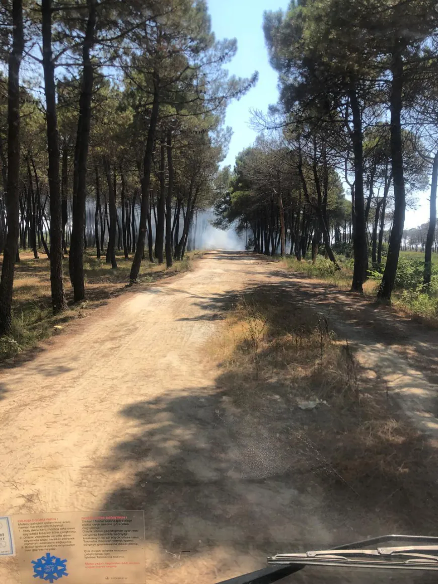 Video / Zjarri në Durrës, zjarrfikësit në aksion për shuarjen e flakëve, si paraqitet situata në terren